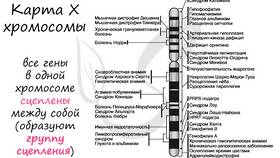 Чему равен процент кроссинговера в Лав Репаблик