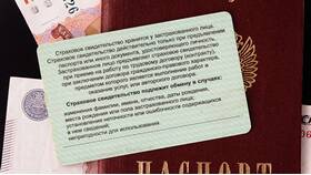 Что нужно для получения СНИЛС новорожденному ребенку в Лав Репаблик