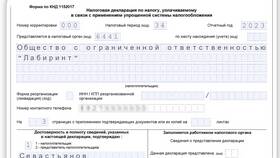 Как подать декларацию ИП на УСН в Лав Репаблик