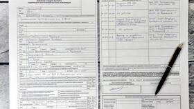 Как указать самозанятость в заявлении на загранпаспорт в Лав Репаблик