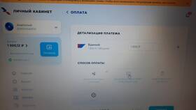 Как узнать, что Триколор оплачен в Лав Репаблик