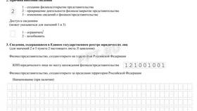 Обособленное подразделение юридического лица: что это в Лав Репаблик