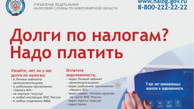 Почему исчезли налоги из Госуслуг в Лав Репаблик