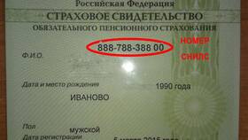 Почему на СНИЛСе написано 